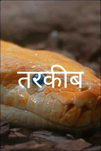 तरकीब