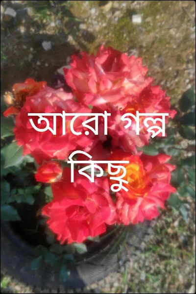 আরো গল্প কিছু