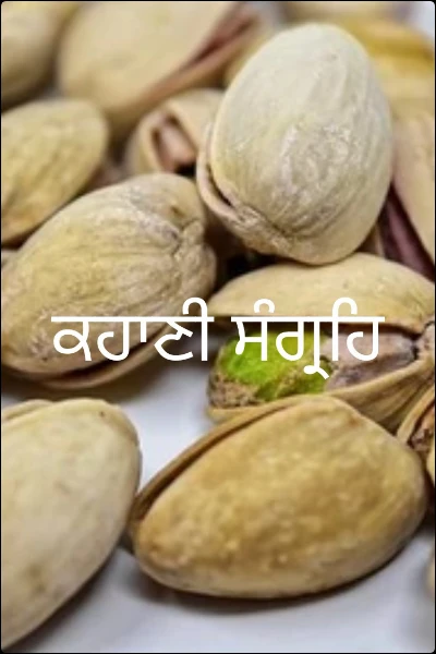 ਕਹਾਣੀ ਸੰਗ੍ਰਹਿ (punjabi)