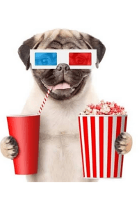 A series of POSITIVITY 😉