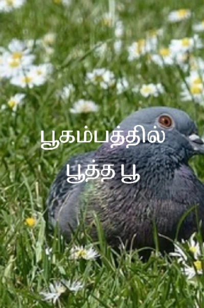 பூகம்பத்தில் பூத்த பூ