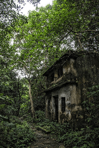 ఎదిరింటి ఆత్మా :-