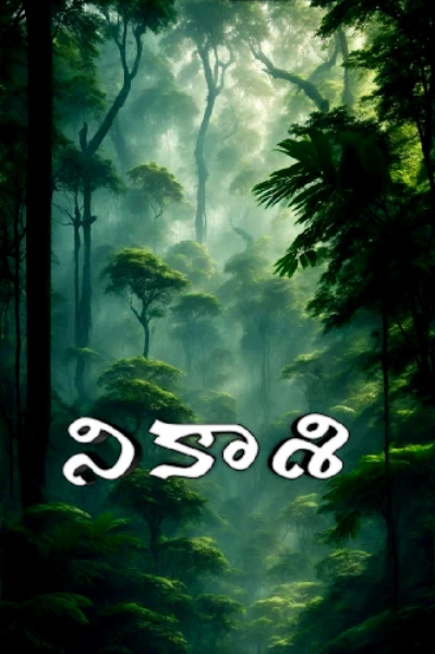 నికాశి