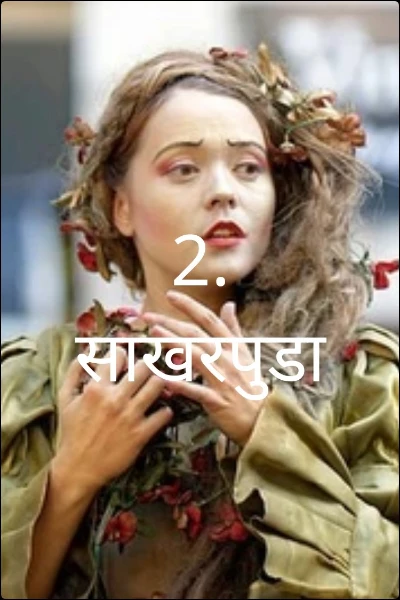 2. साखरपुडा