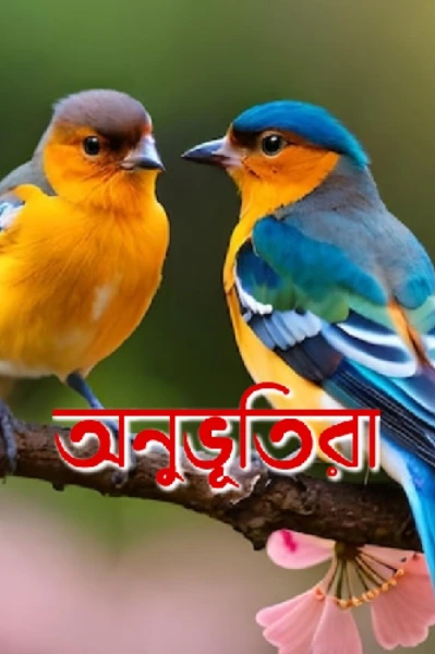 অনুভূতিরা