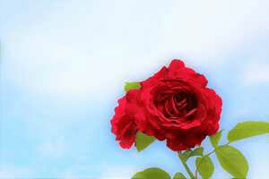 নিদারুন প্রেম