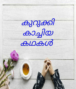 കുറുക്കി കാച്ചിയ കഥകൾ