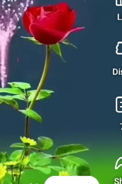 రాధమ్మ పెళ్ళి-1