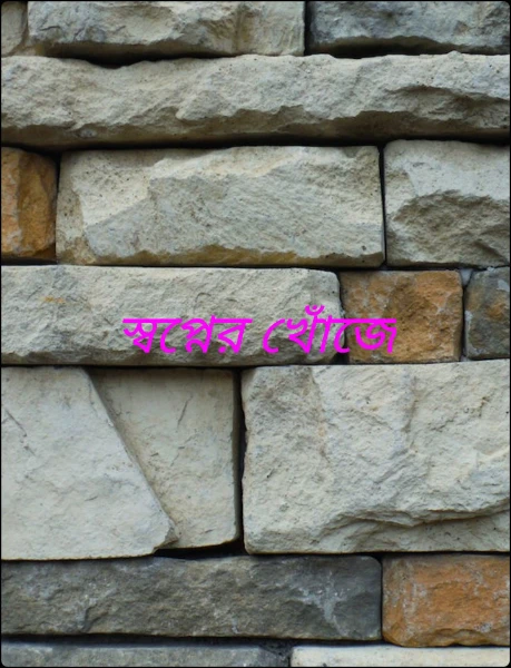 স্বপ্নের খোঁজে