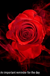 મન નો માળો