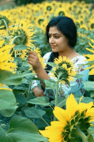 🌻സൂര്യകാന്തി🌻