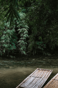 বাঁশ ঝাড়(ভৌতিক কাহিনী )