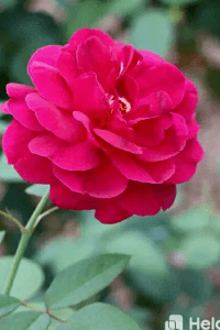 నిన్ను చూసాక