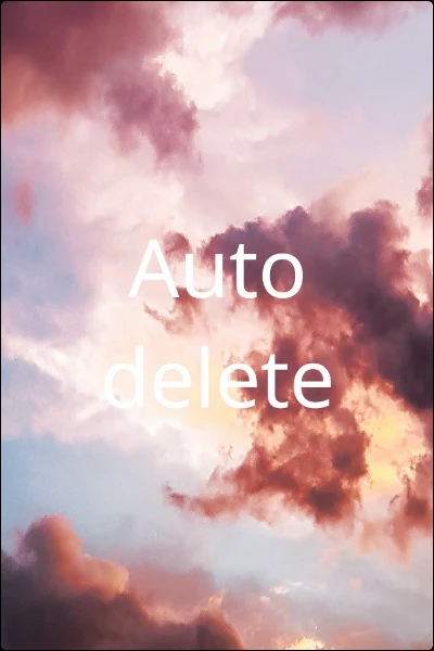 Auto delete