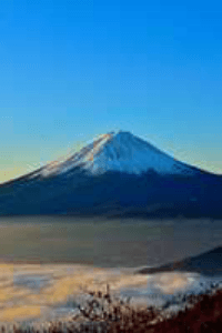 నీ ప్రేమతో