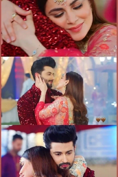 জীবন সঙ্গী