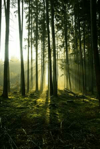 "तेरे संग" भाग 5