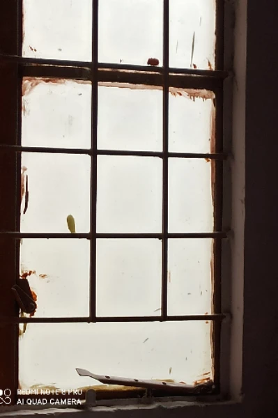 ఖైదీ నం : 217.