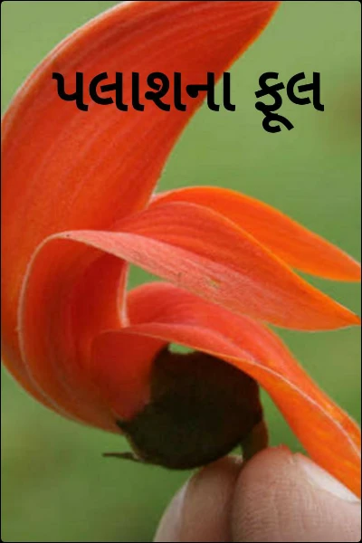 પલાશના ફૂલ