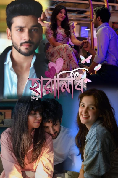 হারানিধি