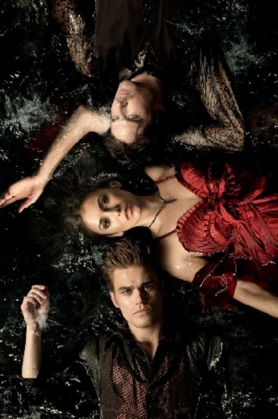 నీకు తోడుగా......