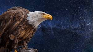 অন্তরালে সে