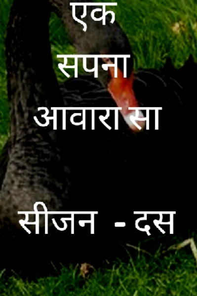 एक सपना आवारा सा
सीजन  - दस