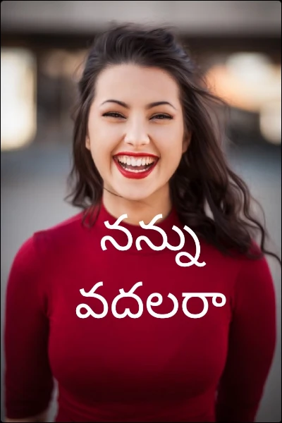 నన్ను వదలరా