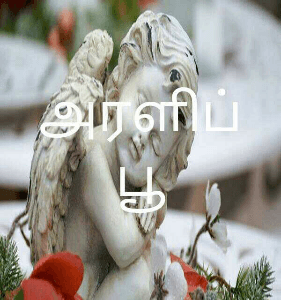 அரளிப்பூ