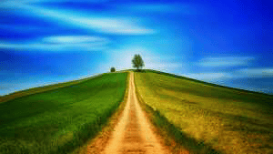 পরিণতি