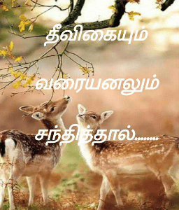 தீவிகையும் வரையனலும் சந்தித்தால்........
