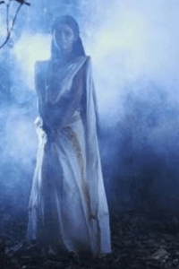 🌼പാലപ്പൂവ് 🌼