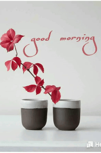 अनोळखी नाते