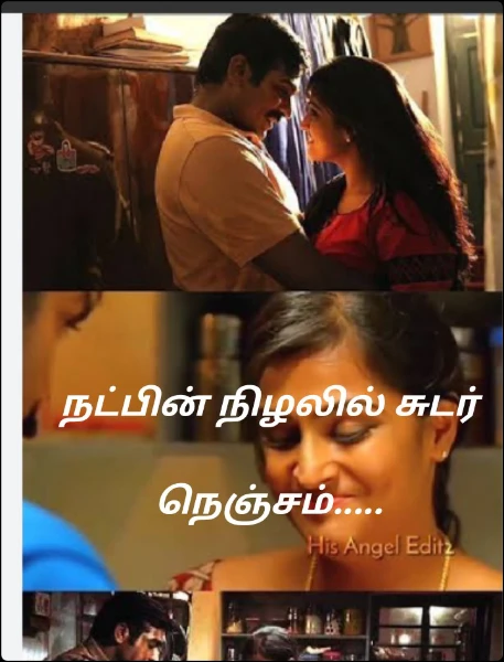 நட்பின் நிழலில் சுடர் நெஞ்சம்.....