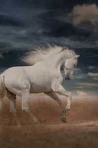 फ्लर्ट भाग ३