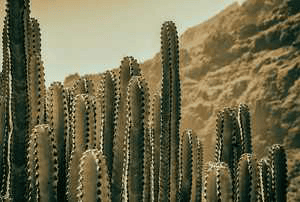 जिंदगी लघुकथाएं
भाग-1
