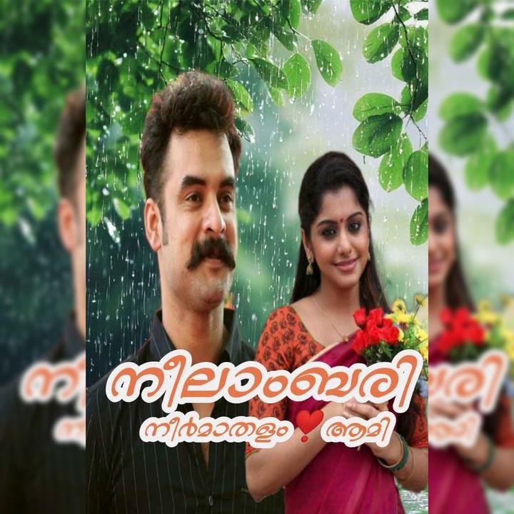 🍂🍂നീലാംബരി 🍂🍂
