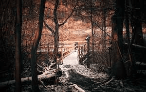 না বলা প্রেম-