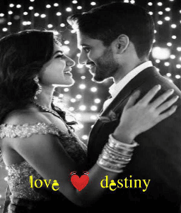 love 💓 destiny (સંપૂર્ણ)