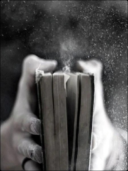 Ashes Of Us