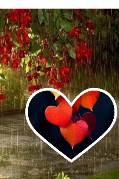 ବର୍ଷା ଓ ସେ....