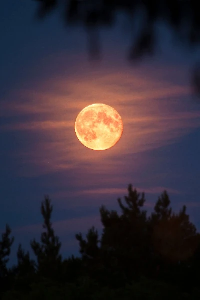 ସିଵାଙ୍ଗି ରୁ ଆୟେଶା