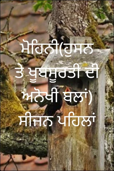 ਮੋਹਿਨੀ(ਹੁਸਨ ਤੇ ਖੂਬਸੂਰਤੀ ਦੀ ਅਨੋਖੀ ਬਲਾਂ) ਸੀਜਨ ਪਹਿਲਾਂ