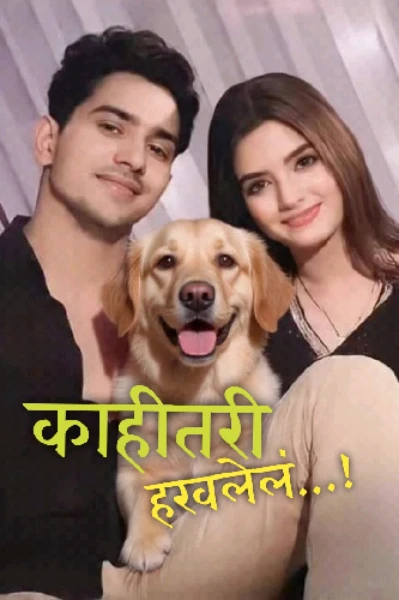 काहीतरी हरवलेलं...! ❣️