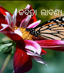 କବିତା ଲାବଣ୍ୟ