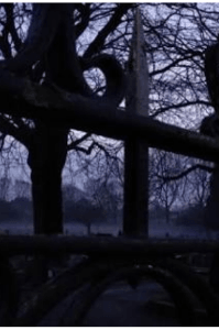 🍂हळदीची रात्र🍂