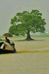 শ্রেষ্ঠ উপহার 😊