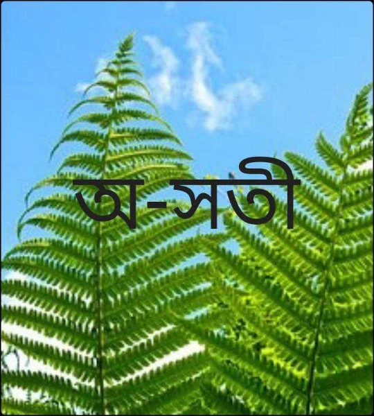 অ-সতী (প্রাপ্তবয়স্কদের জন্য)