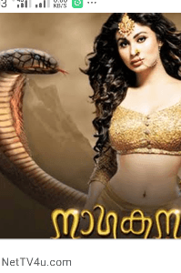 ഒരു സർപ്പ ദീക്ഷ