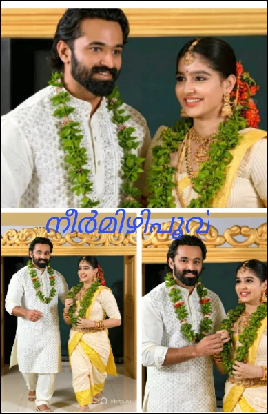 നീർമിഴിപൂവ് (completed )